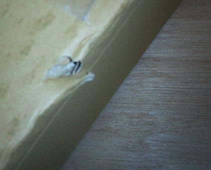 中身が無事なら構へんけどな!